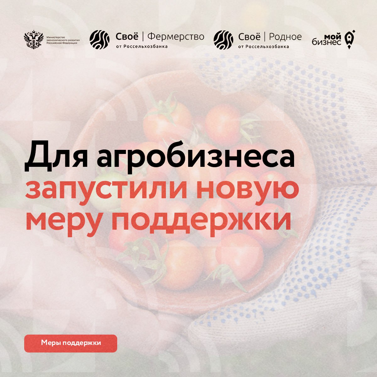 ​Для агробизнеса запустили новую меру поддержки 